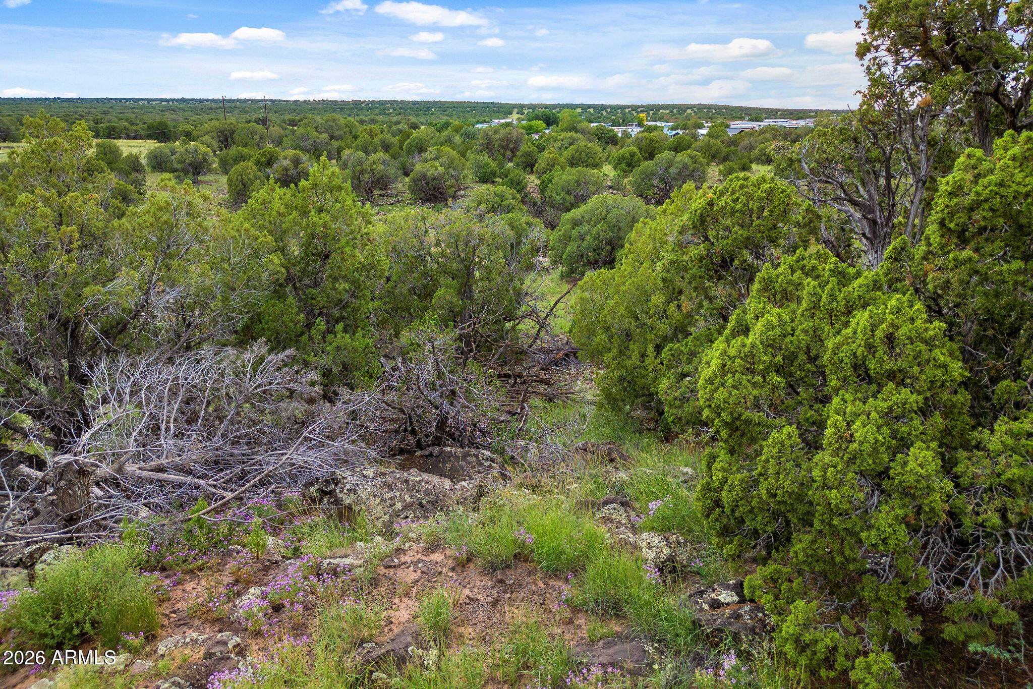 8281 &8283 RIDGE Drive 11
