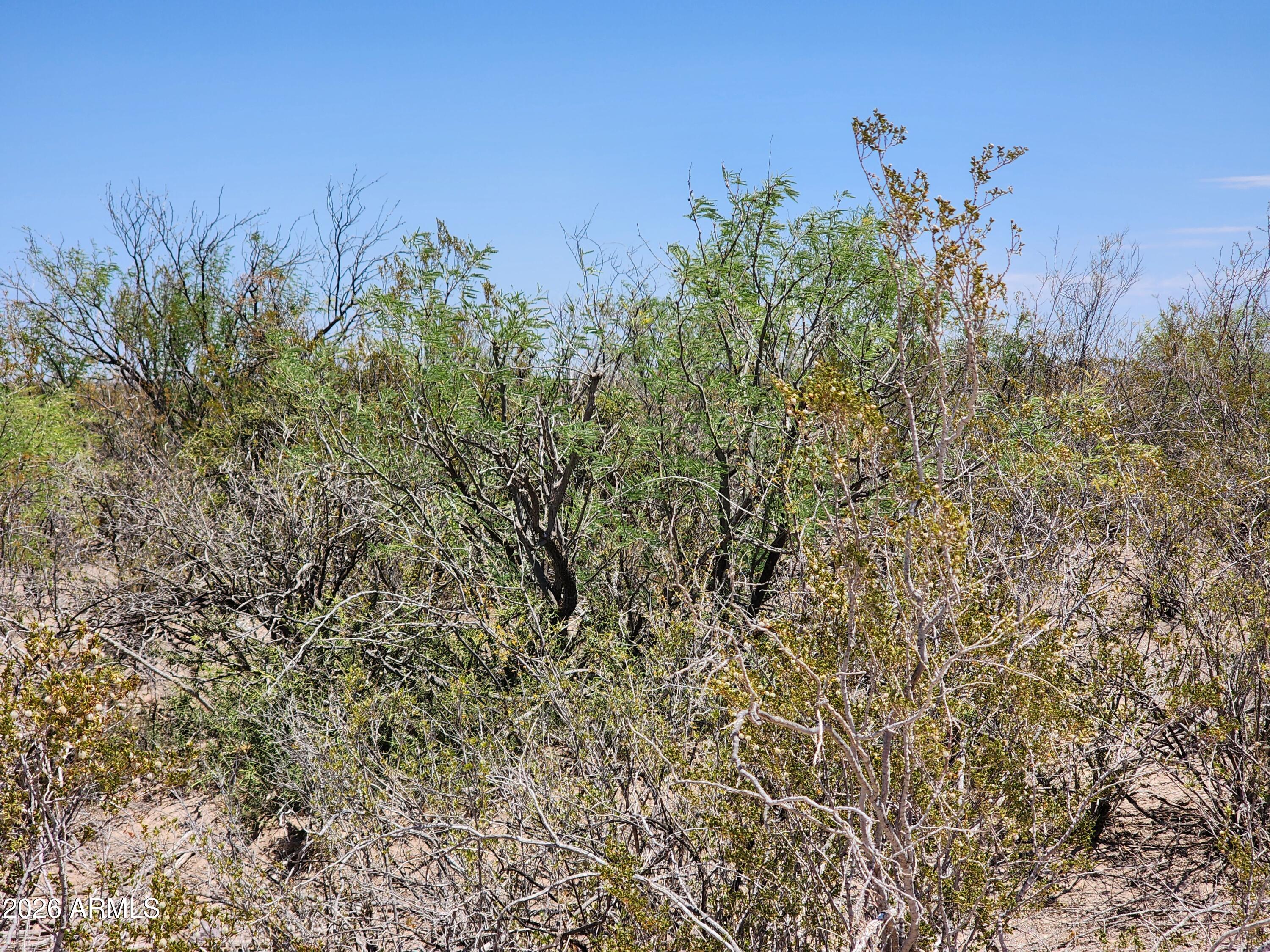 lot b Bowers Road 21