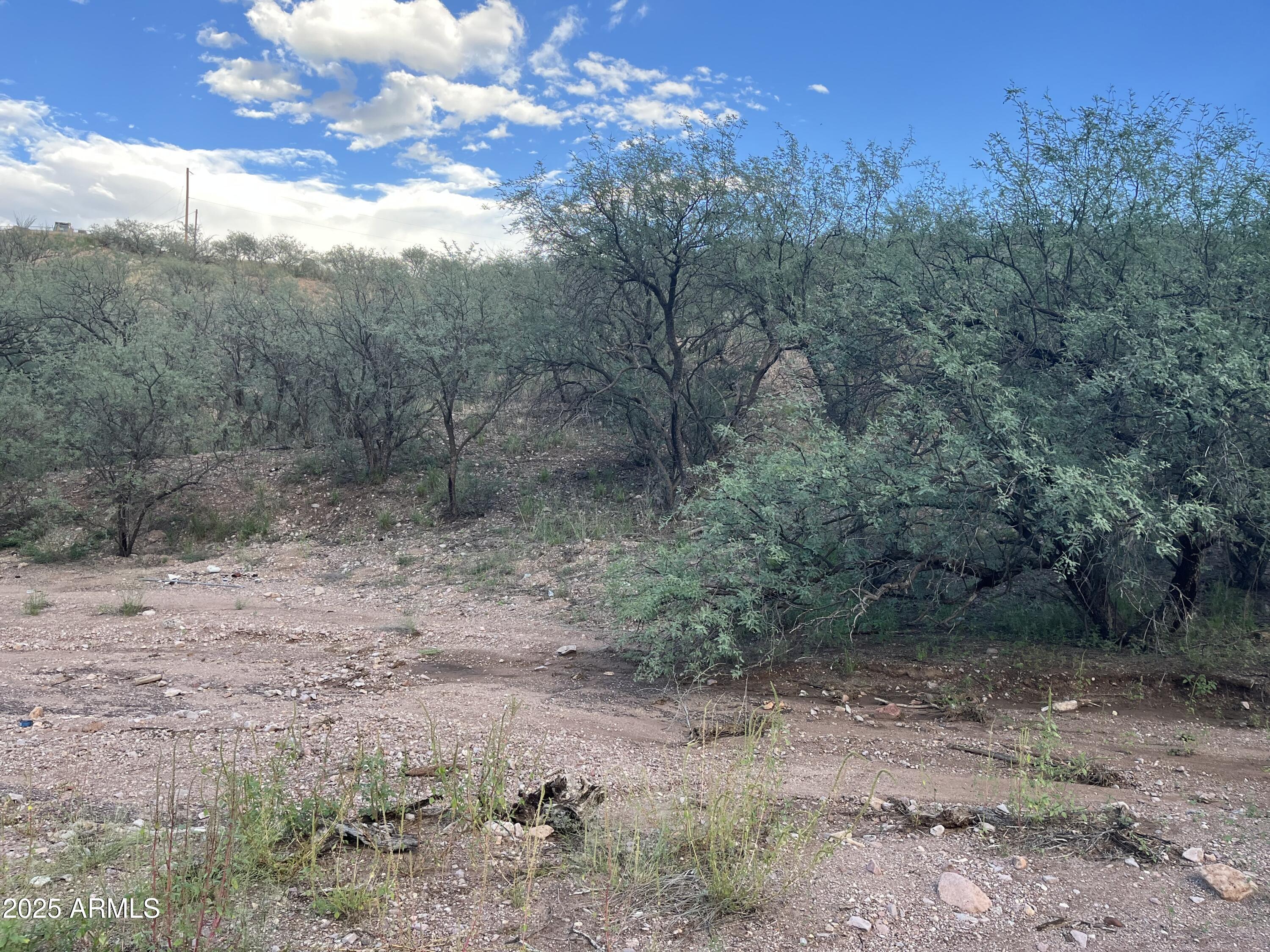 935 W AVENA Court 52