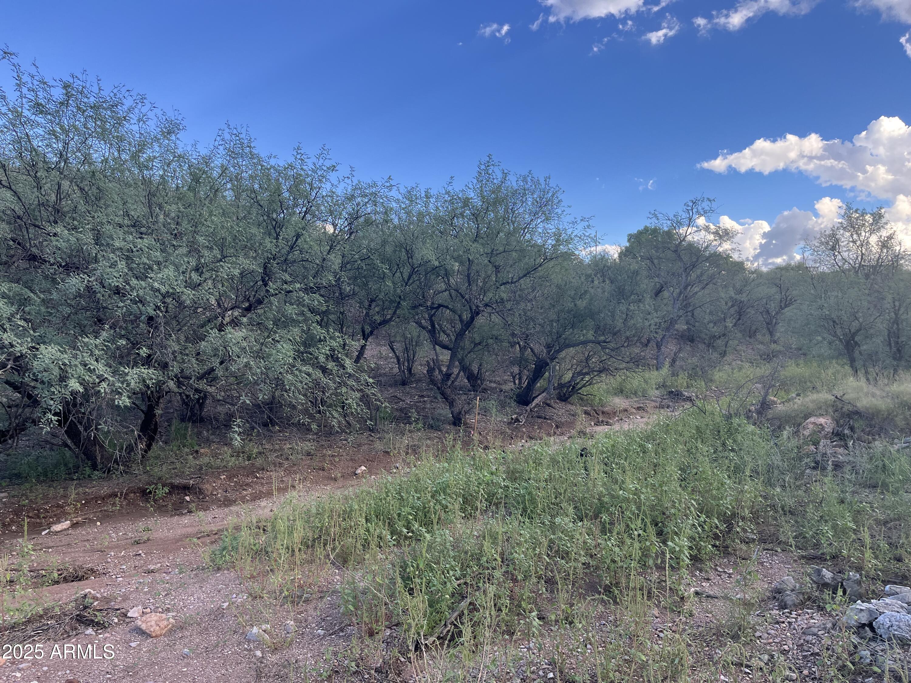 935 W AVENA Court 52