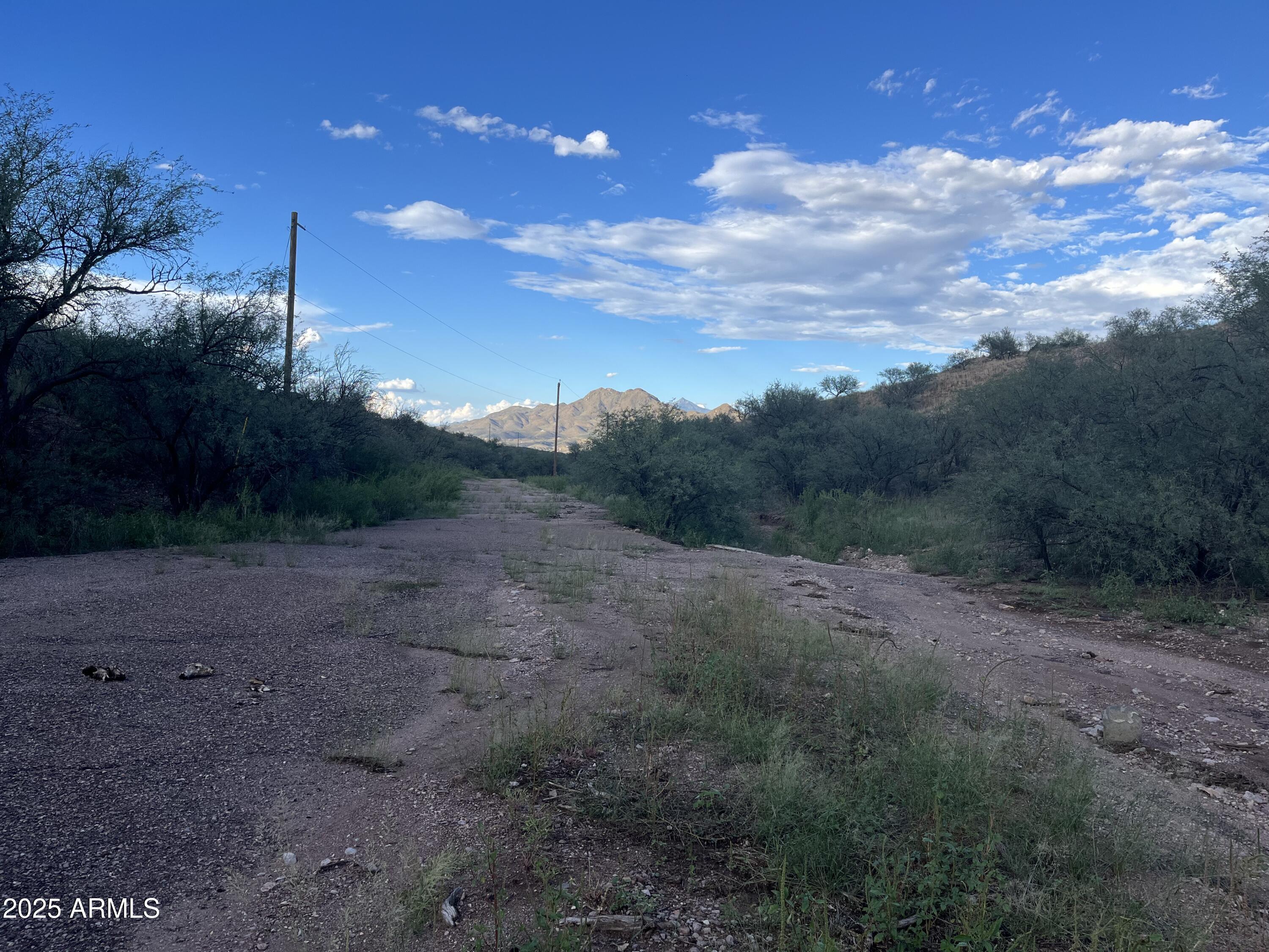 935 W AVENA Court 52