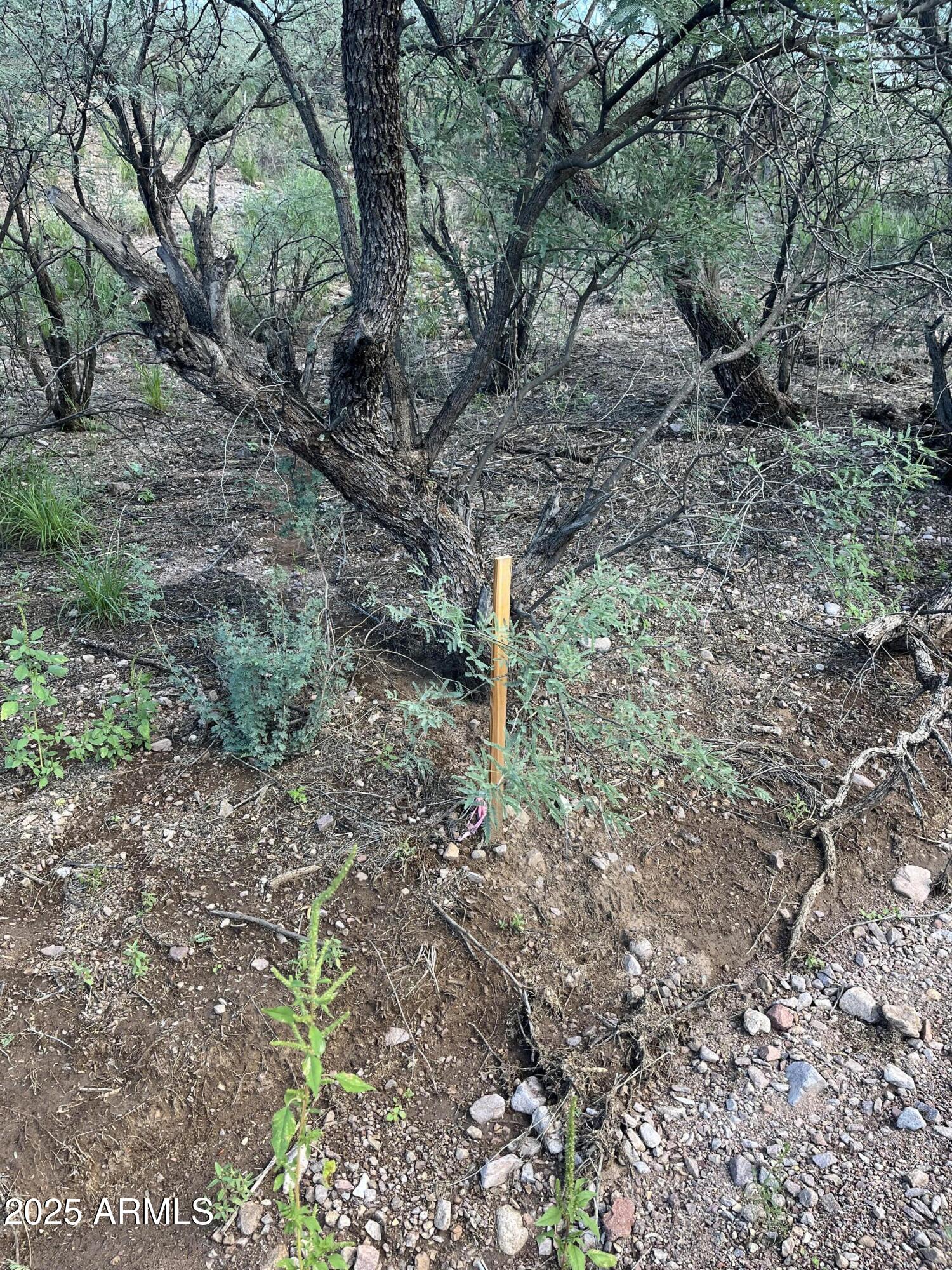 935 W AVENA Court 52