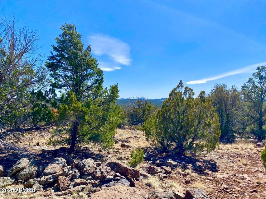 74 County Road 8056 -- 152