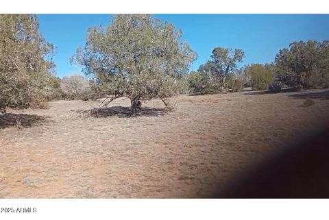 N/A S Peaceful Hill Road ‘-‘ Seligman AZ 86337