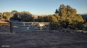 PARK SHOW LOW UNIT 6 - Land