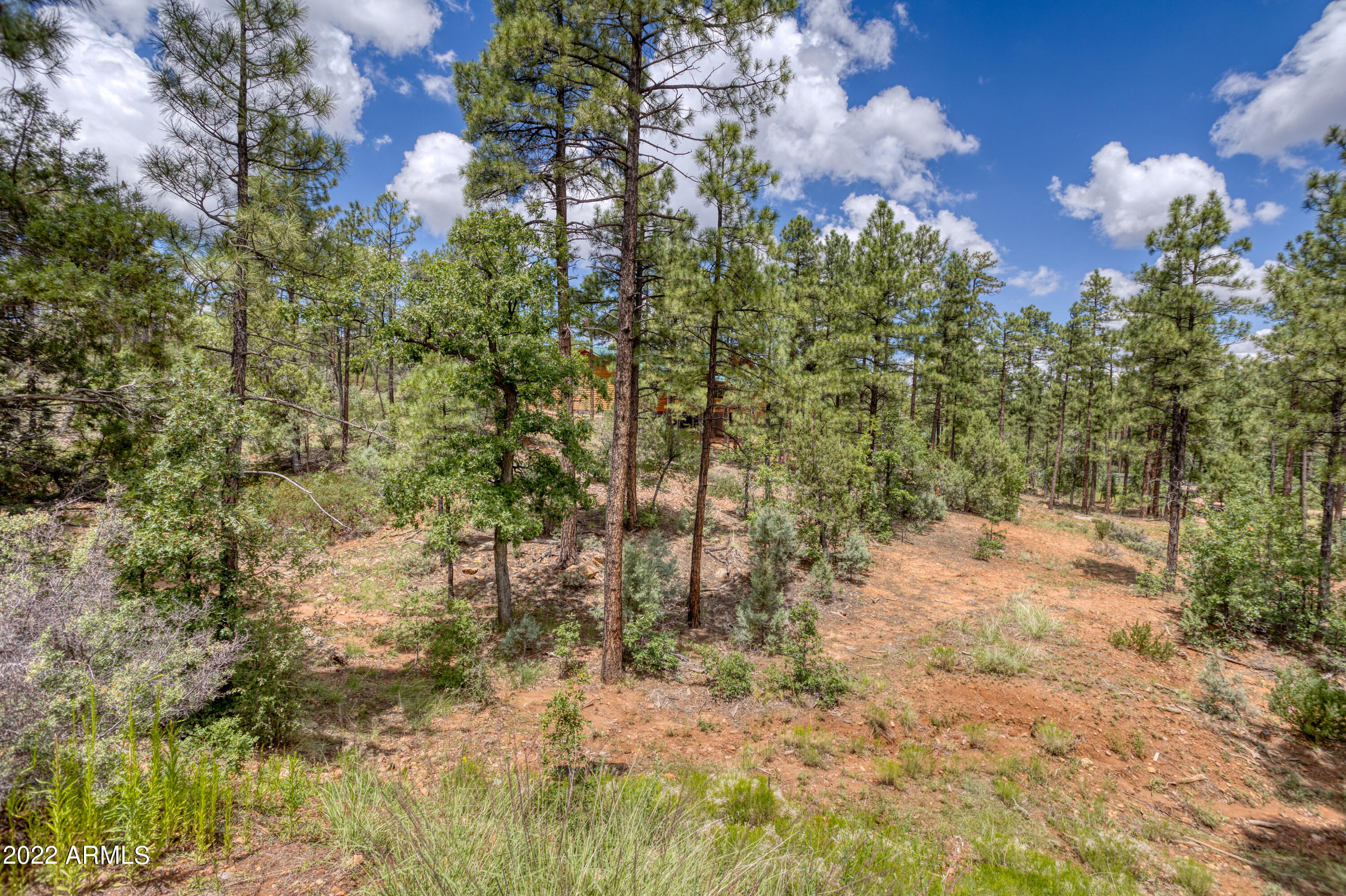 2080 S High Sierra Court 86A