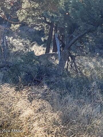 Lot 163 N Portal Drive 163