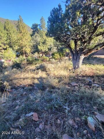 Lot 163 N Portal Drive 163