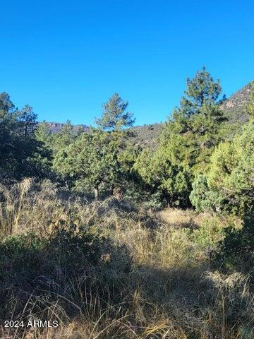 Lot 163 N Portal Drive 163