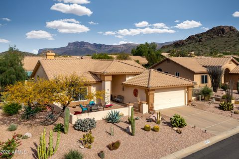 8976 E BRITTLE BUSH Road Gold Canyon AZ 85118