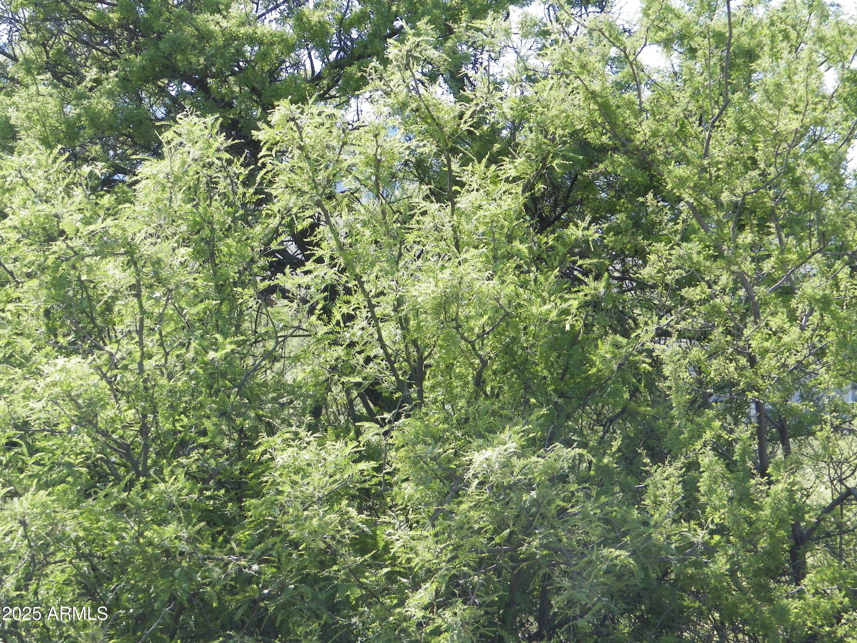 2070 Crossroads Boulevard 128