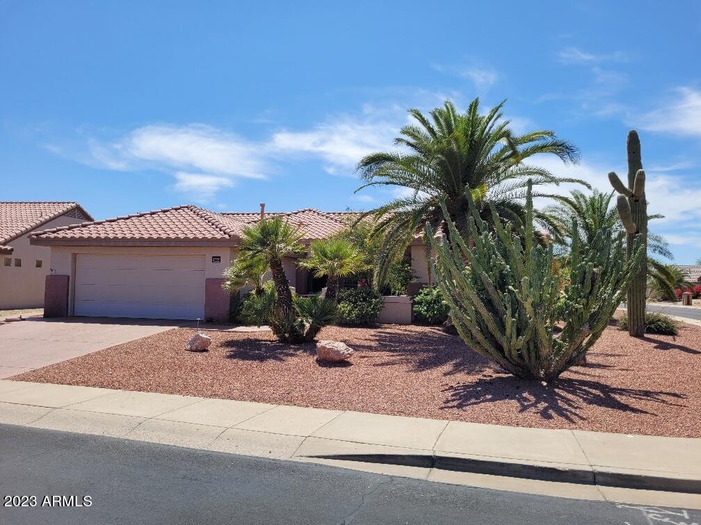 20054 N PAINTED SKY Drive