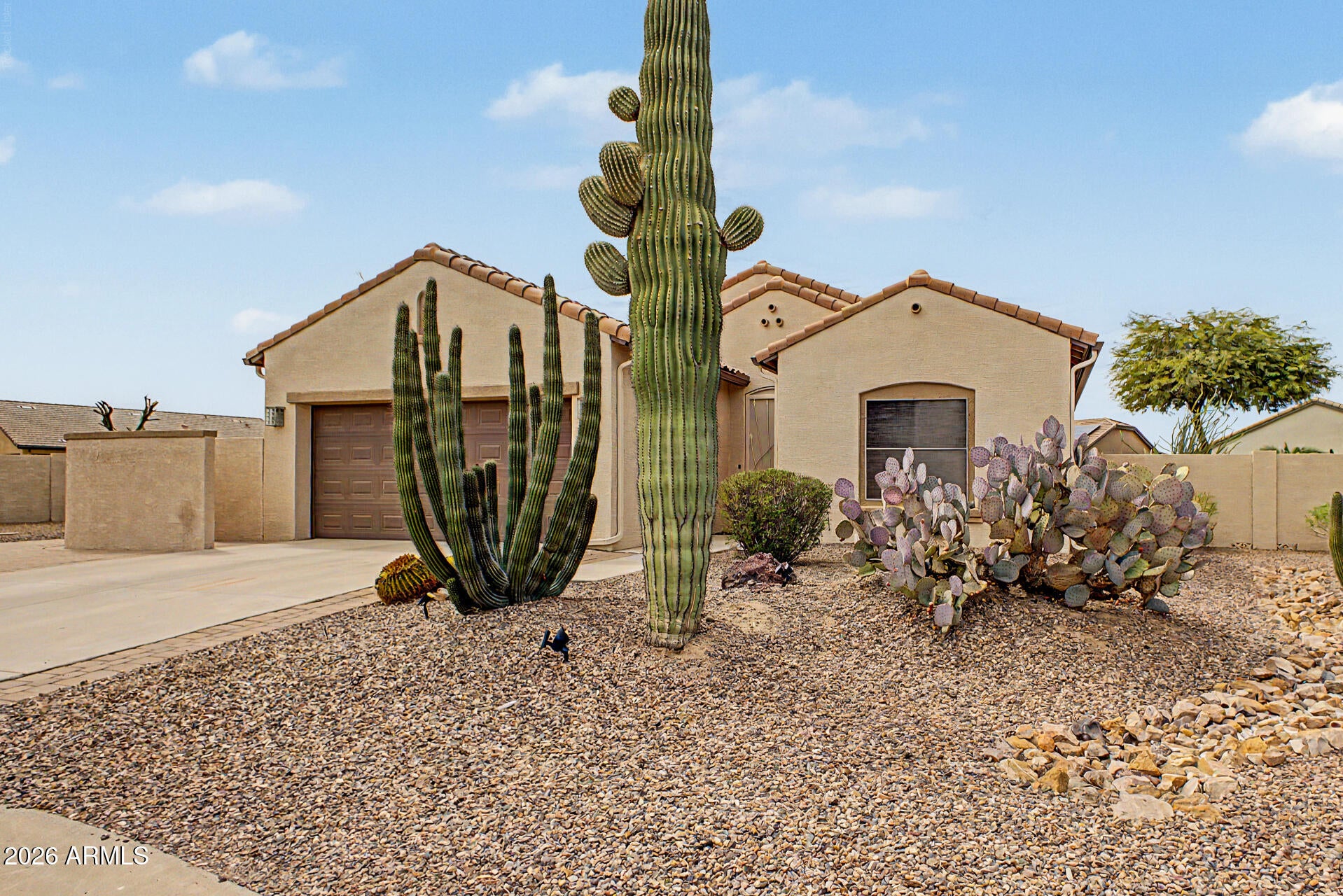 5246 N WILLCOX Drive