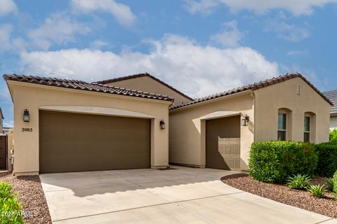 3983 W SERPENTINE Drive San Tan Valley AZ 85144