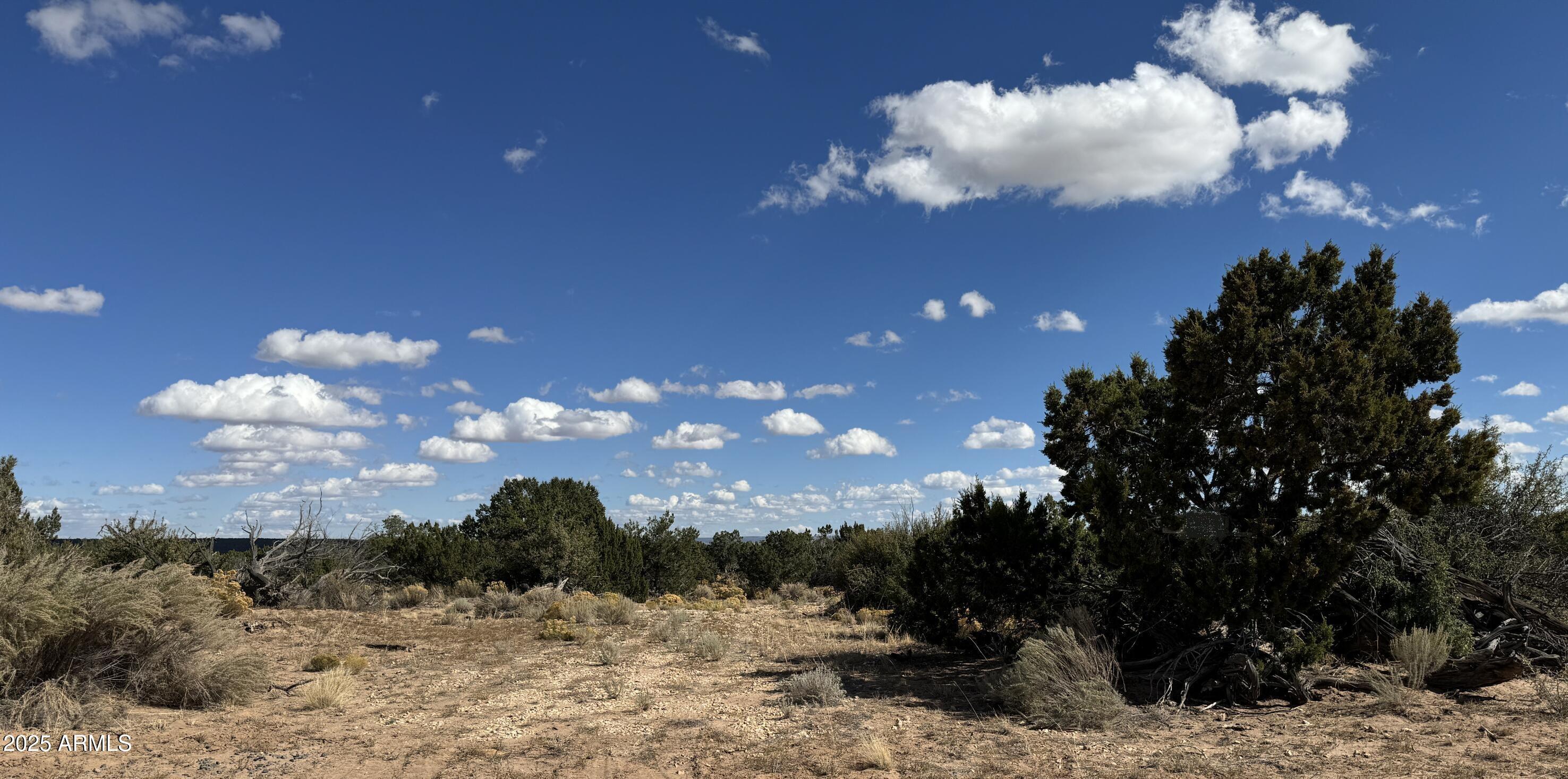 WITCH WELL RANCHES - Land
