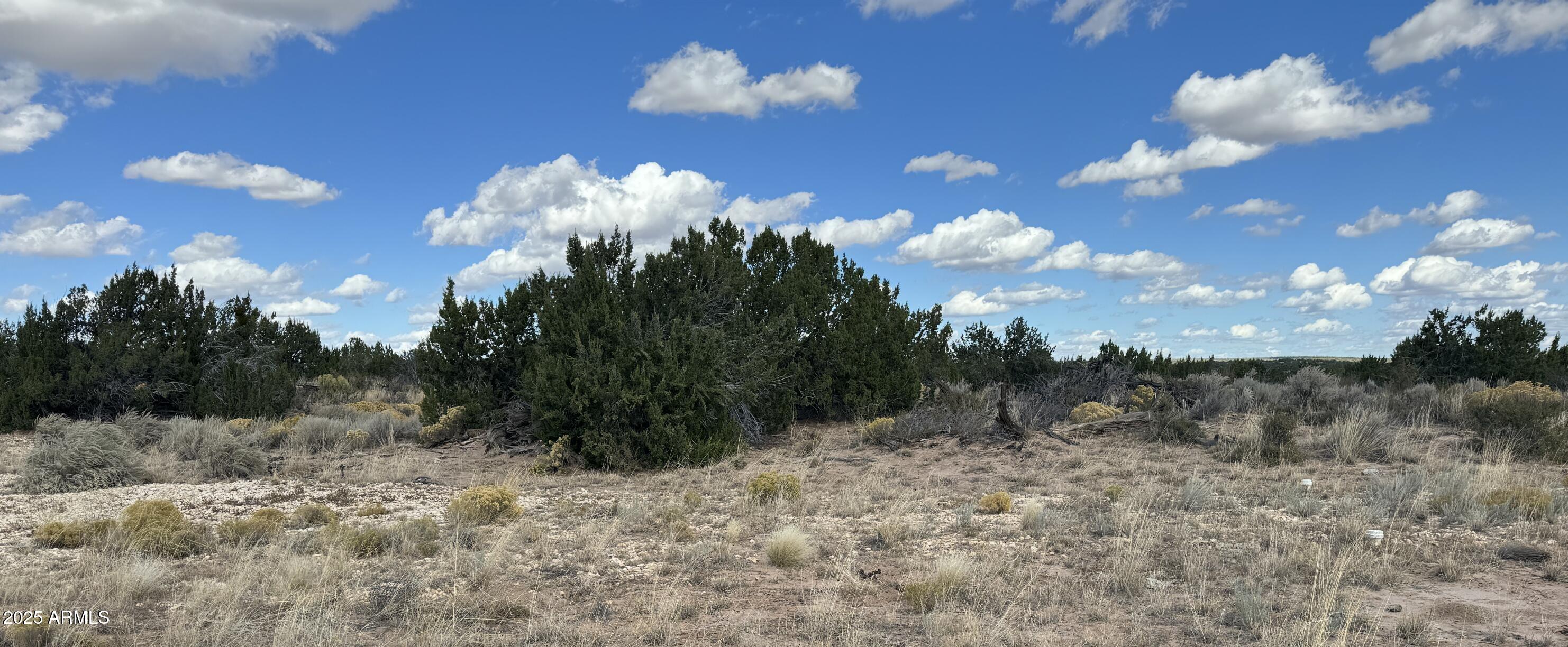 WITCH WELL RANCHES - Land