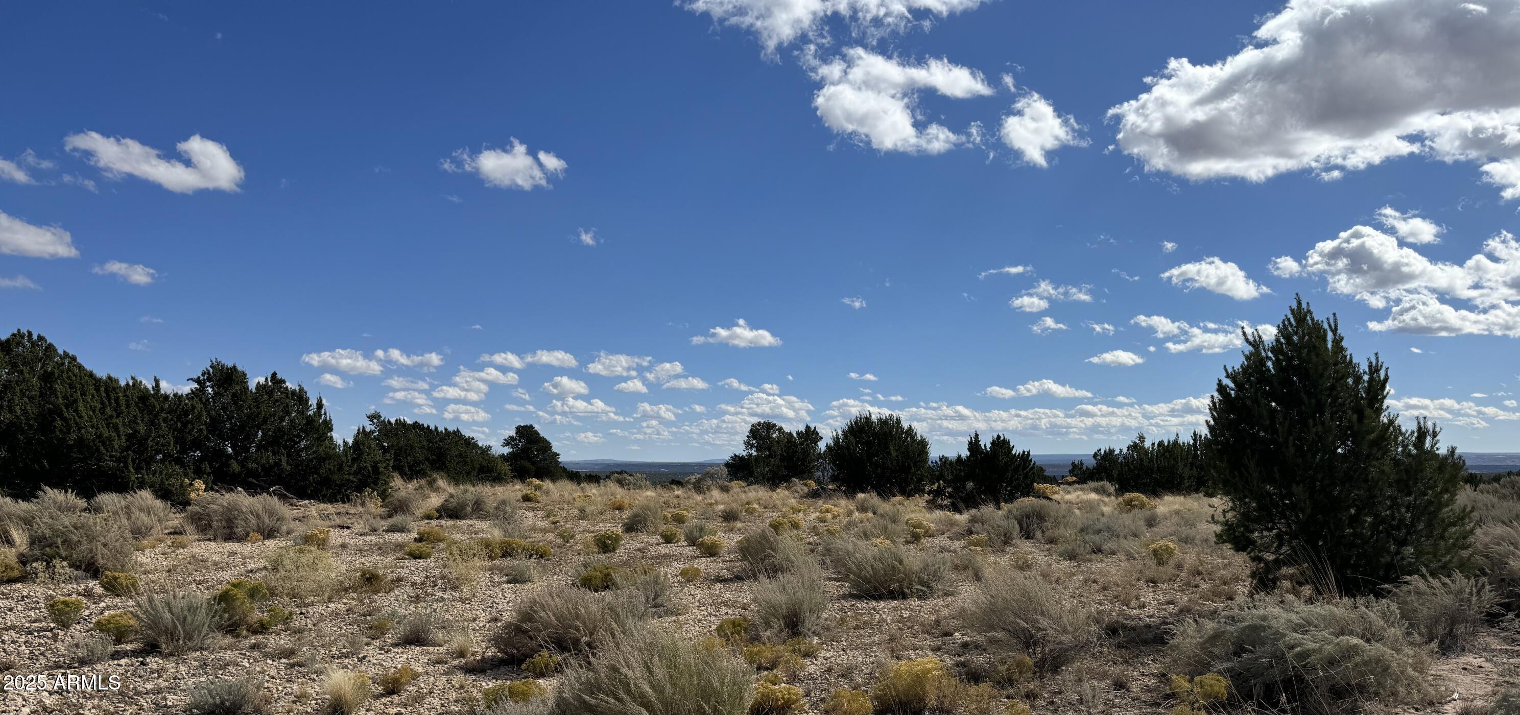 WITCH WELL RANCHES - Land
