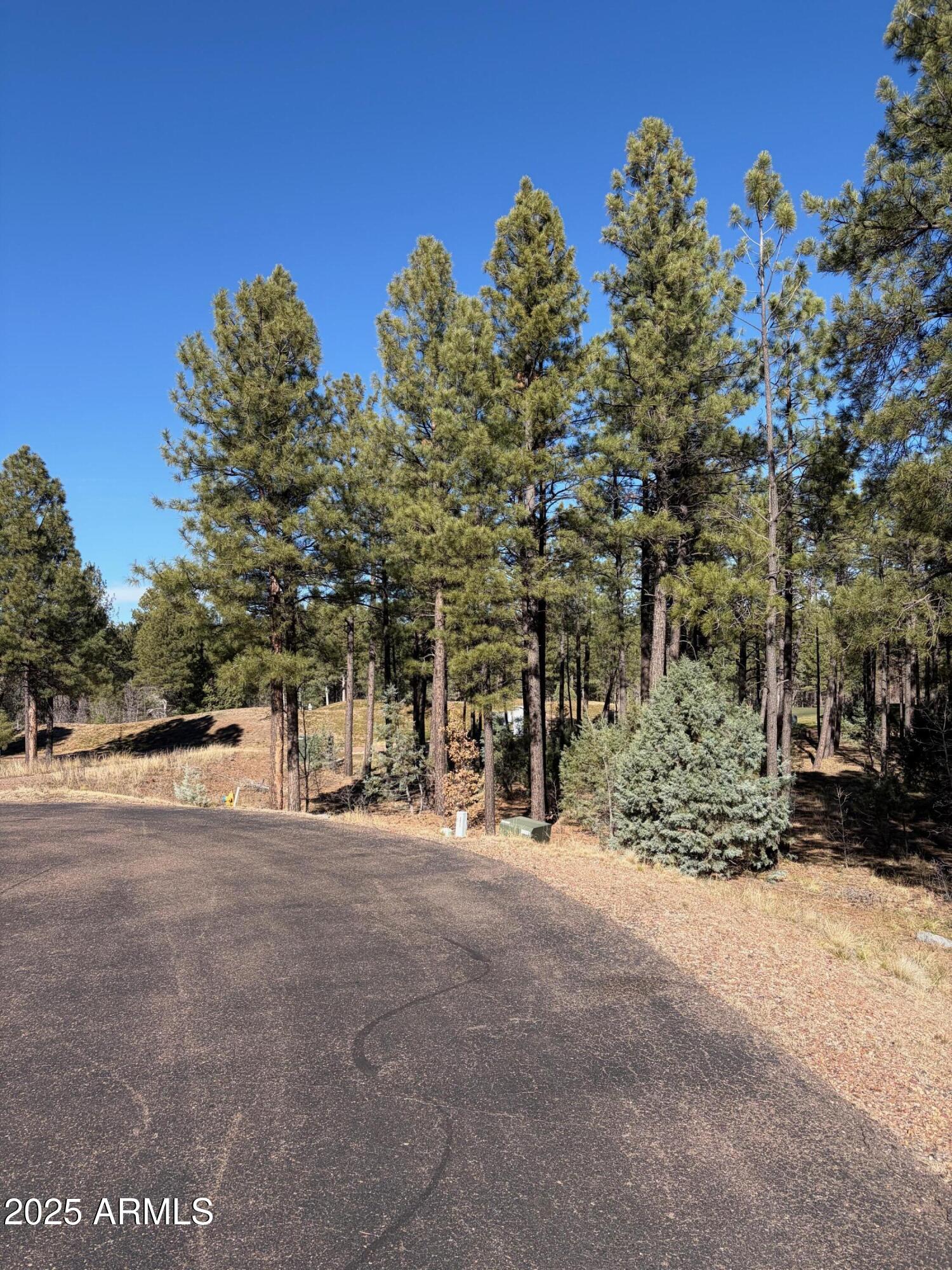 3680 W SAGE Lane 260