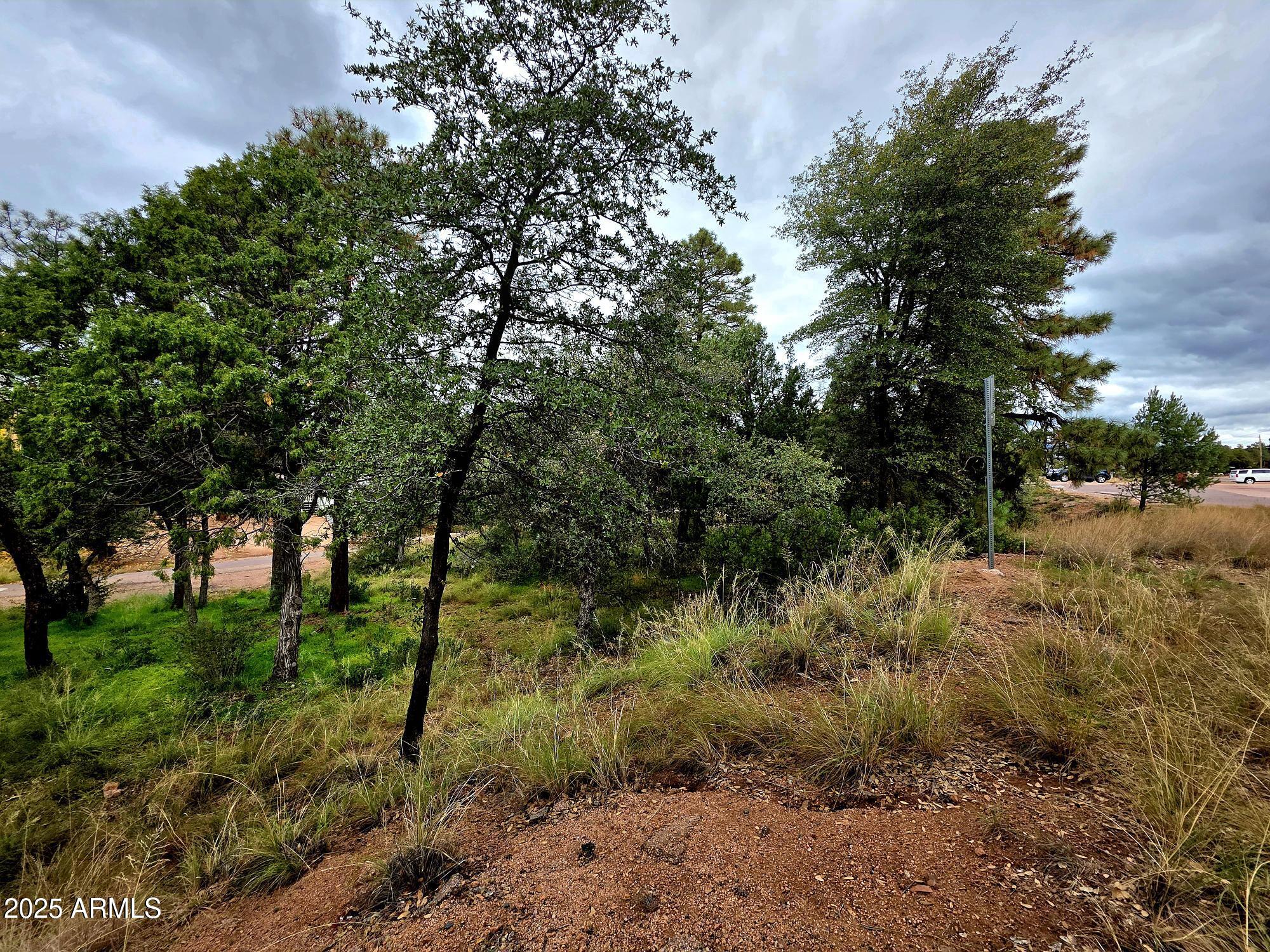 PAYSON NORTH 2 - Land