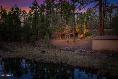 571 W PINE SHADOW Drive Lakeside AZ 85929