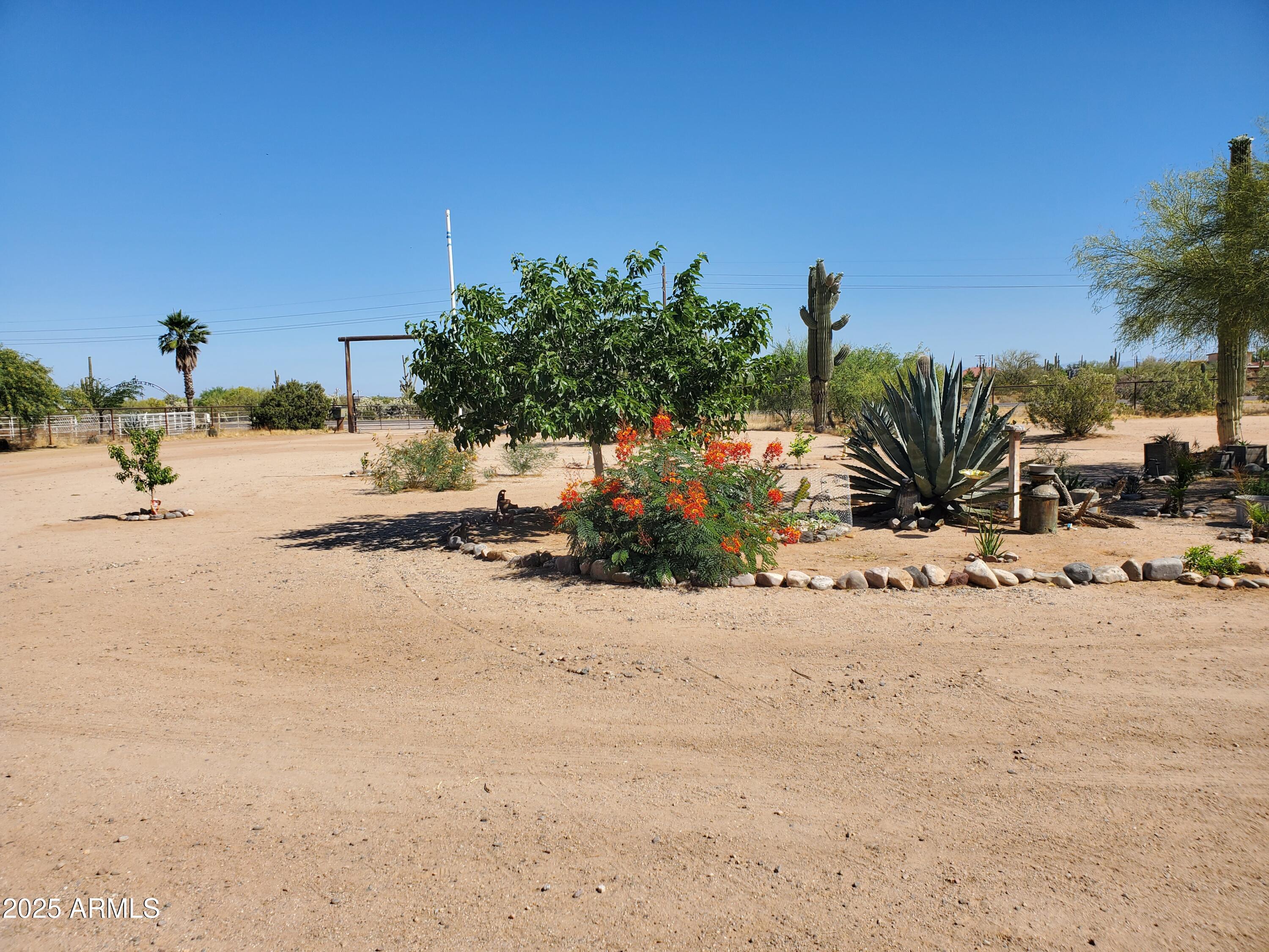 22855 E cactus forest Road