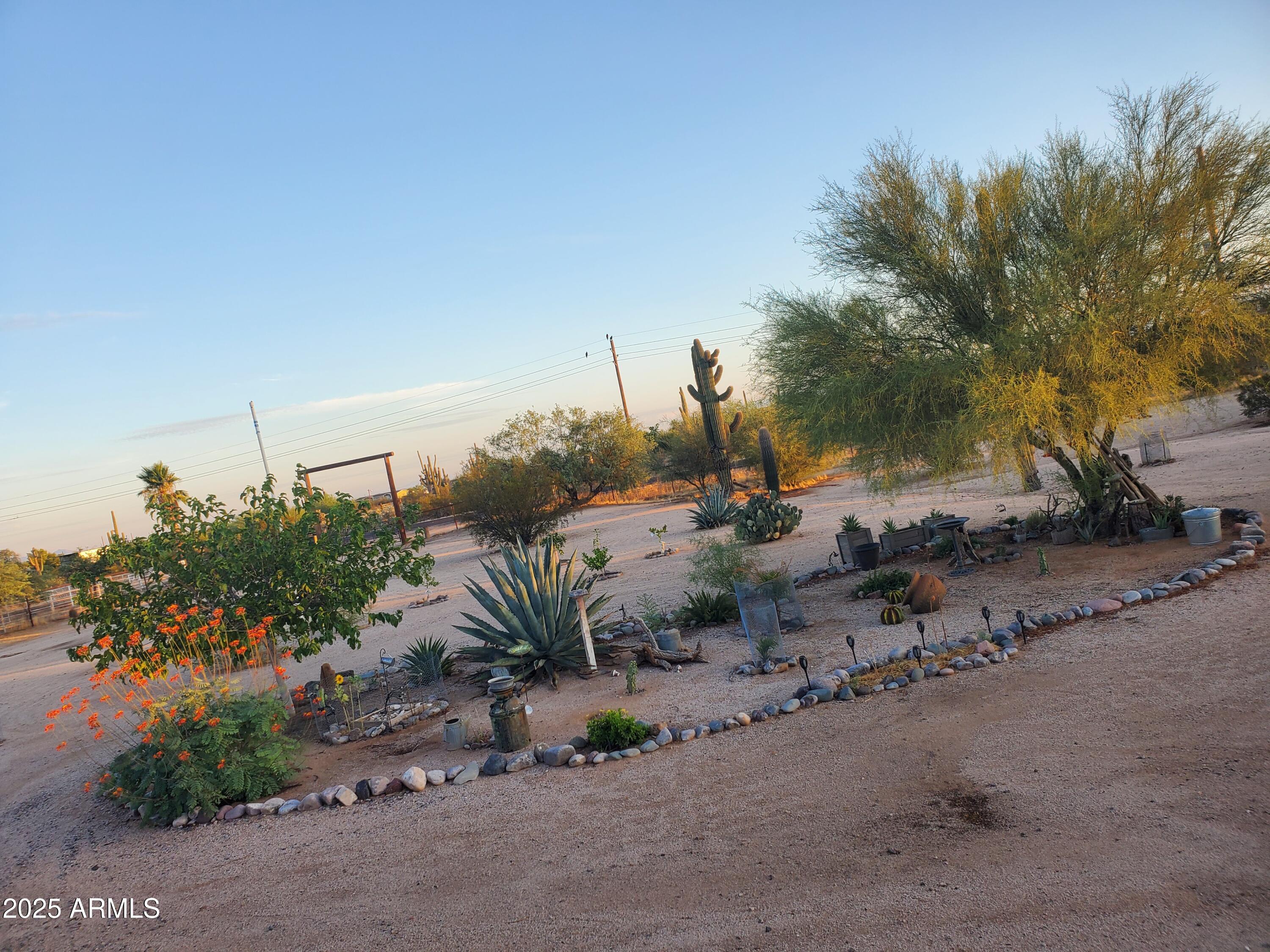 22855 E cactus forest Road