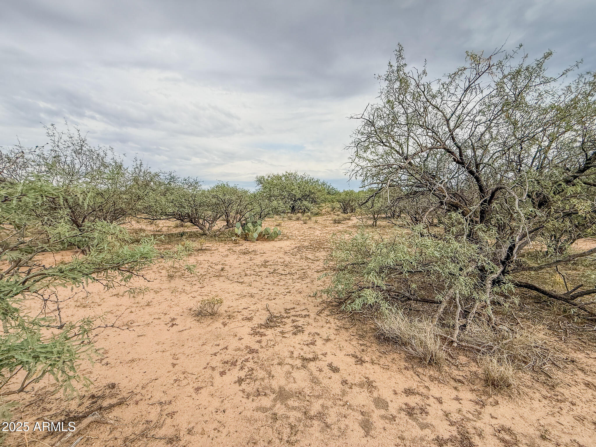 000 Tequila Trail - 1