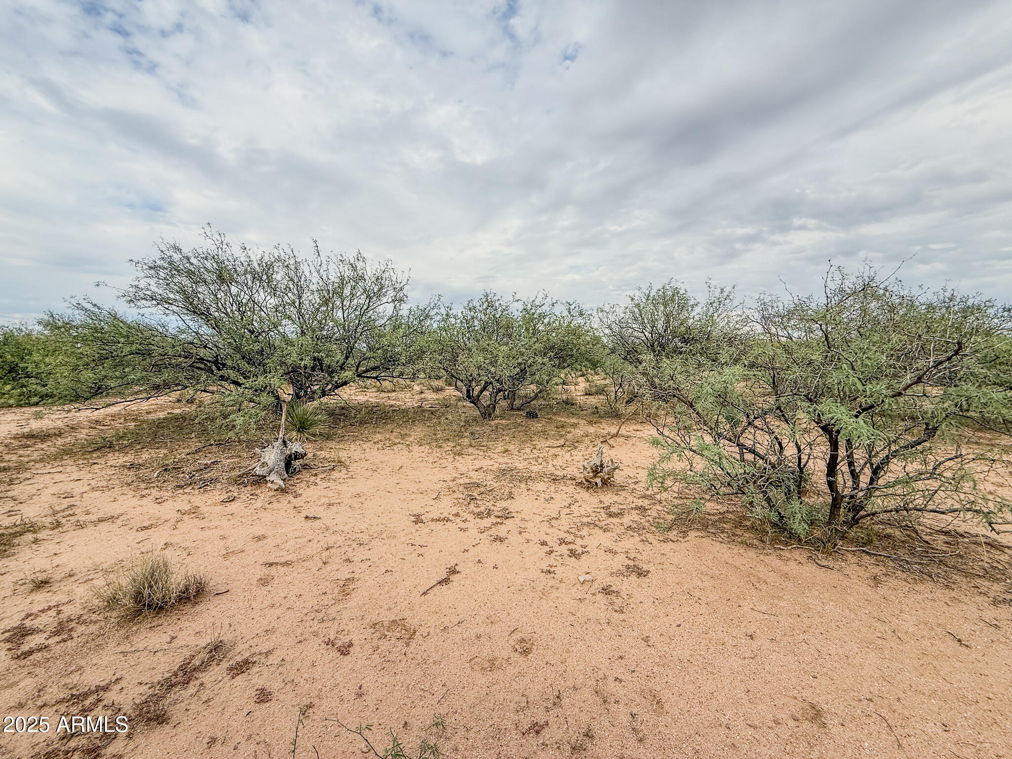 000 Tequila Trail - 1