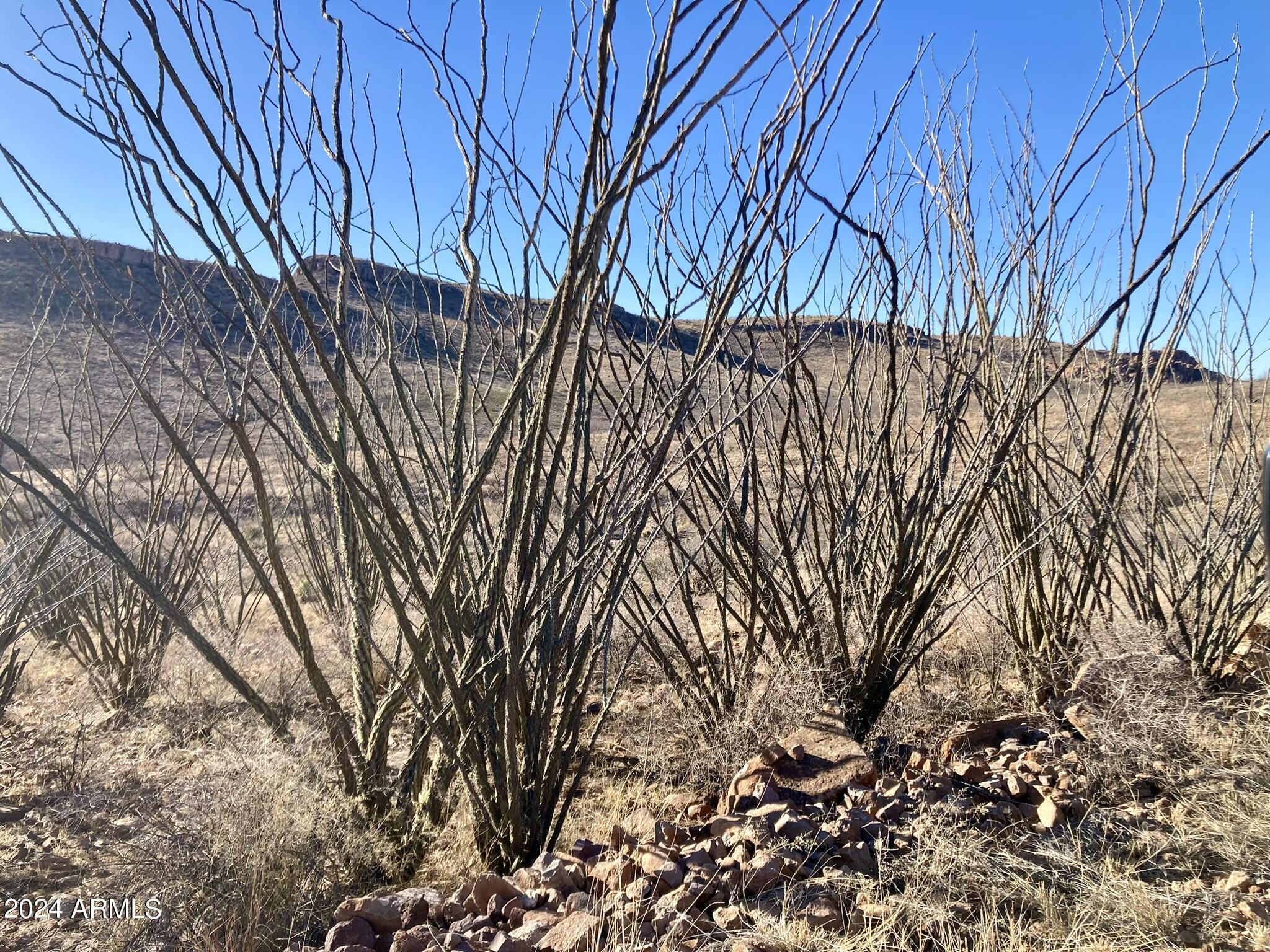 TBD N Wilderness Trail 98