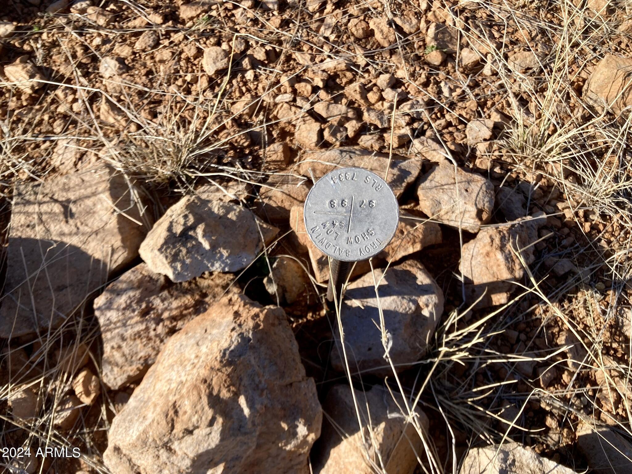 TBD N Wilderness Trail 98