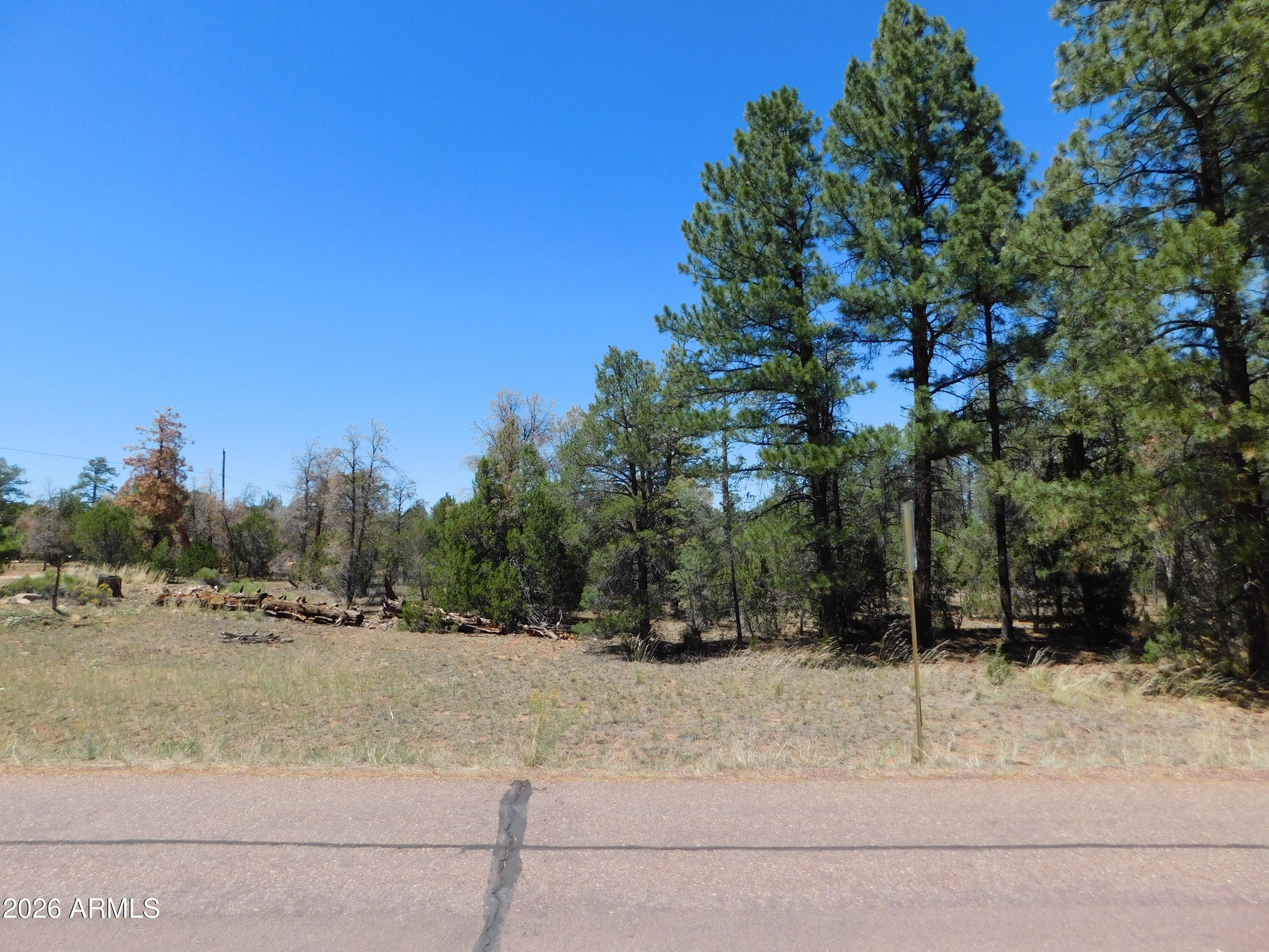 3100 PINEWOOD Drive 083B
