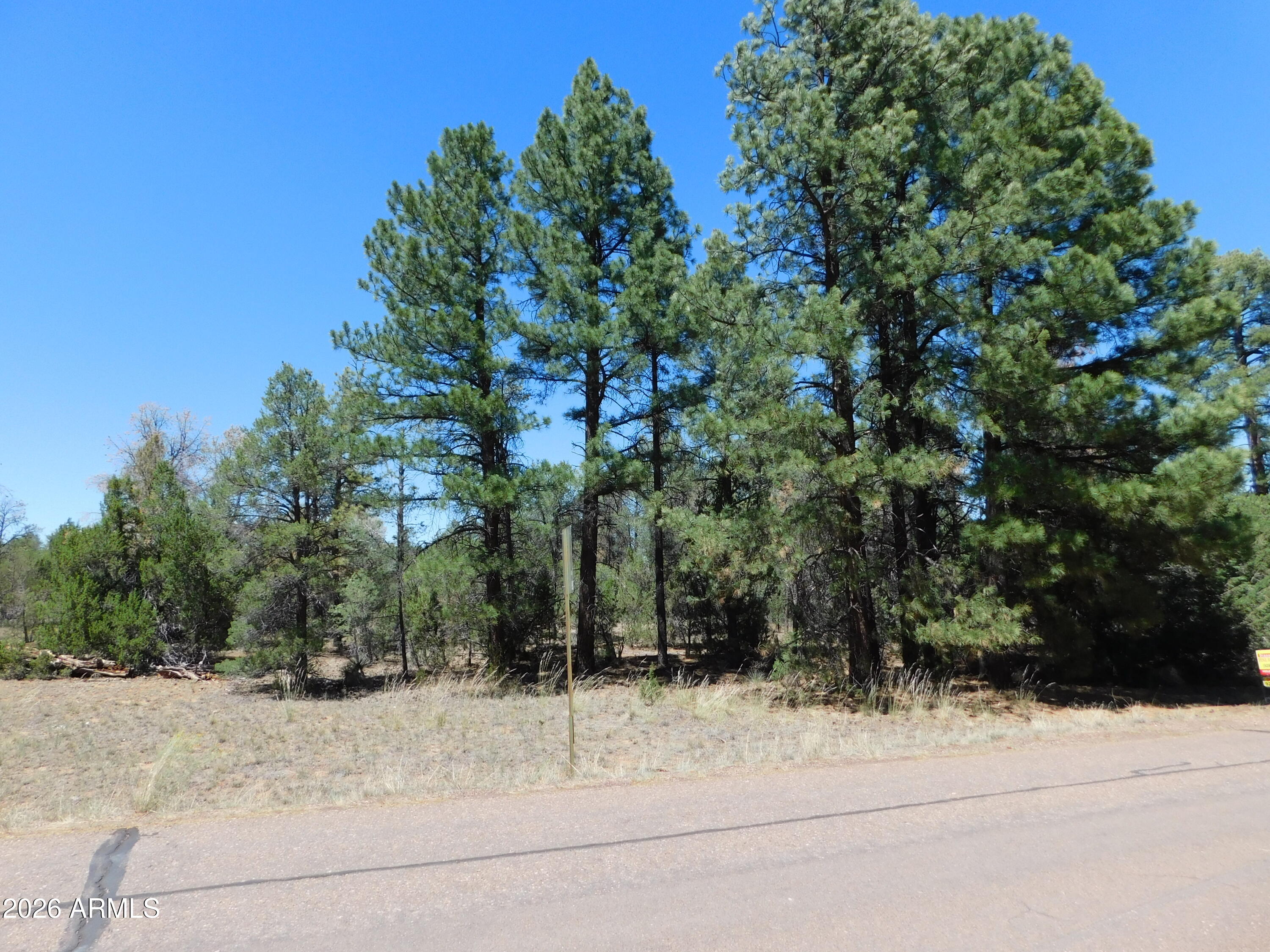 3100 PINEWOOD Drive 083B
