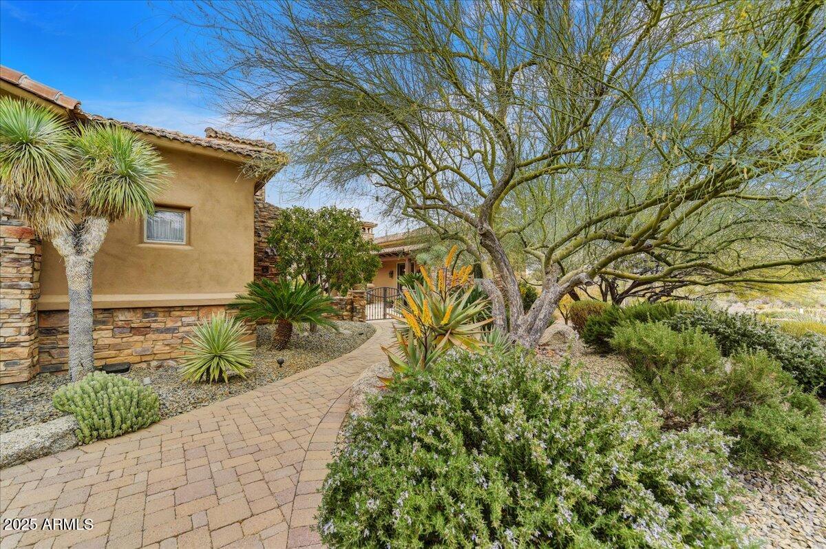 Pinnacle Canyon at Troon North - Residential
