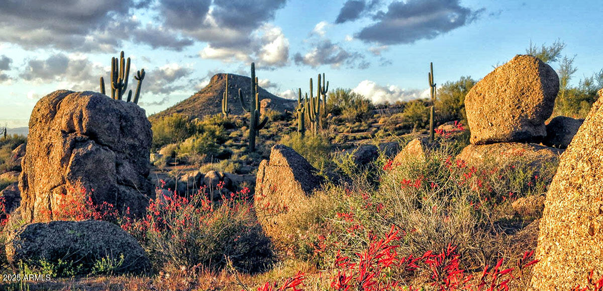 Pinnacle Canyon at Troon North - Residential
