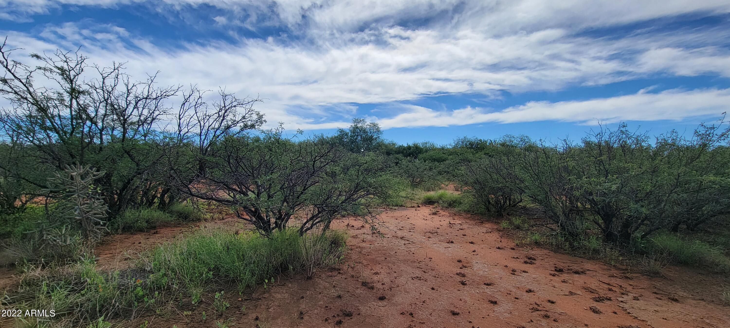 COCHISE RANCHOS - Land