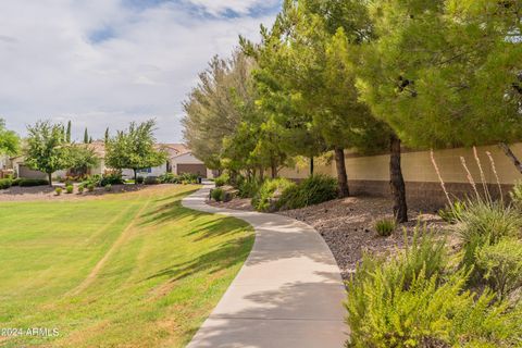 A home in Chandler