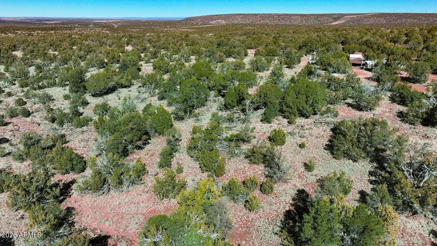 Enjoy panoramic views and privacy on this heavily treed property. The seller has just had a road installed to give physical access to high clearance vehicles. All the privacy you could want. yet such a very short drive to all the amenities of downtown Williams and only an additional 15-minute drive to Flagstaff. SELLER FINANCING AVAILABLE