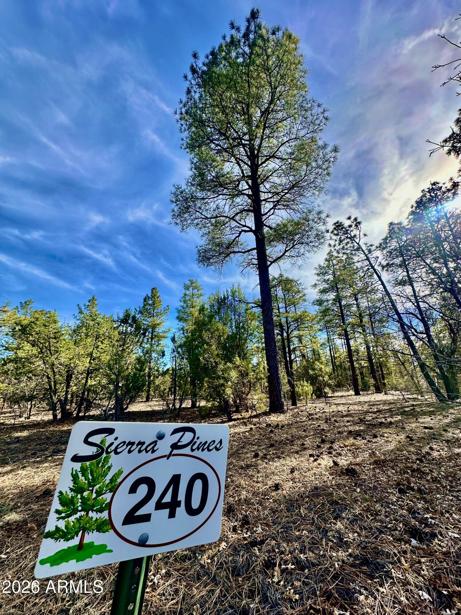 321 W ASPEN Trail 240