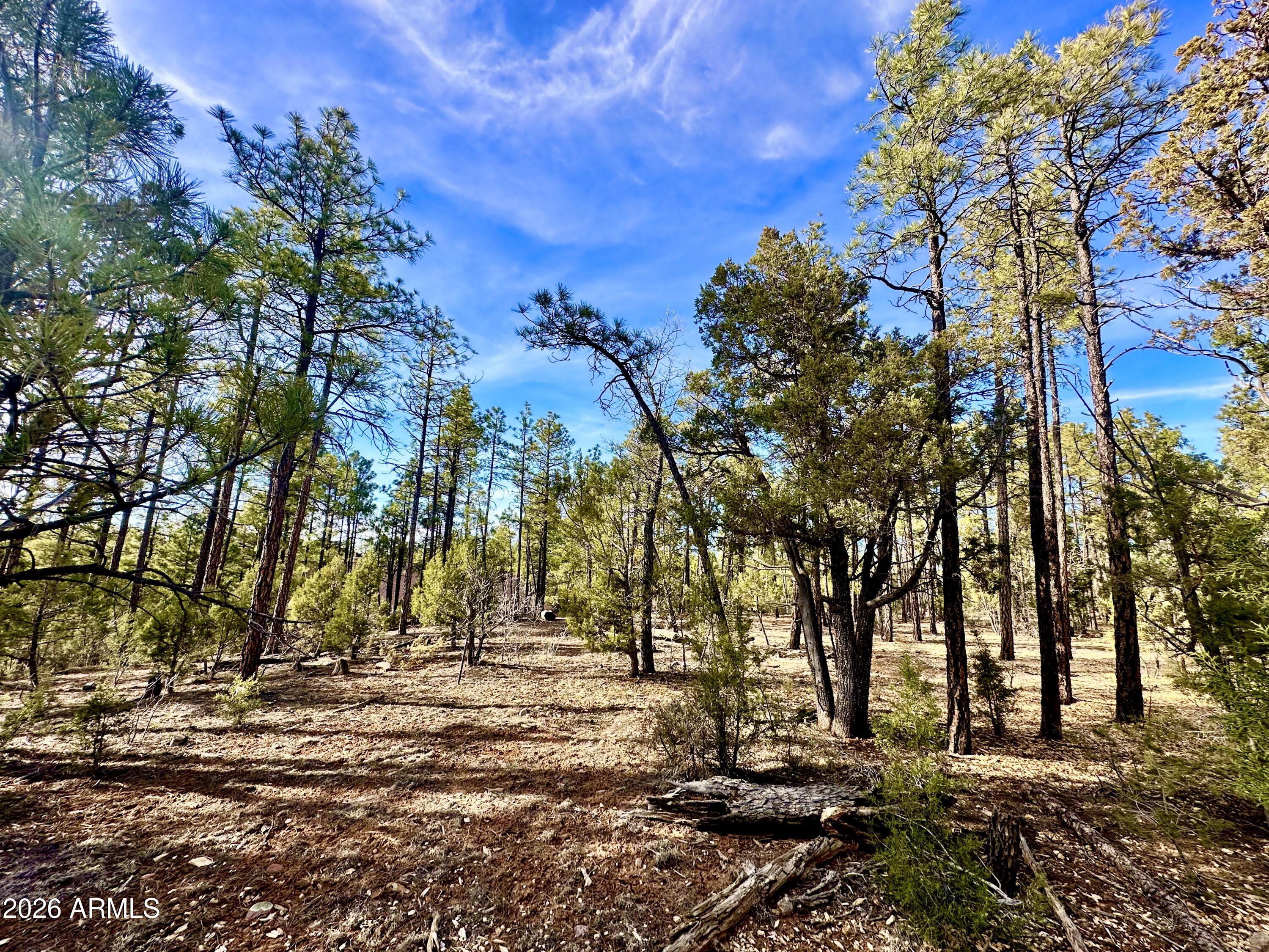 321 W ASPEN Trail 240