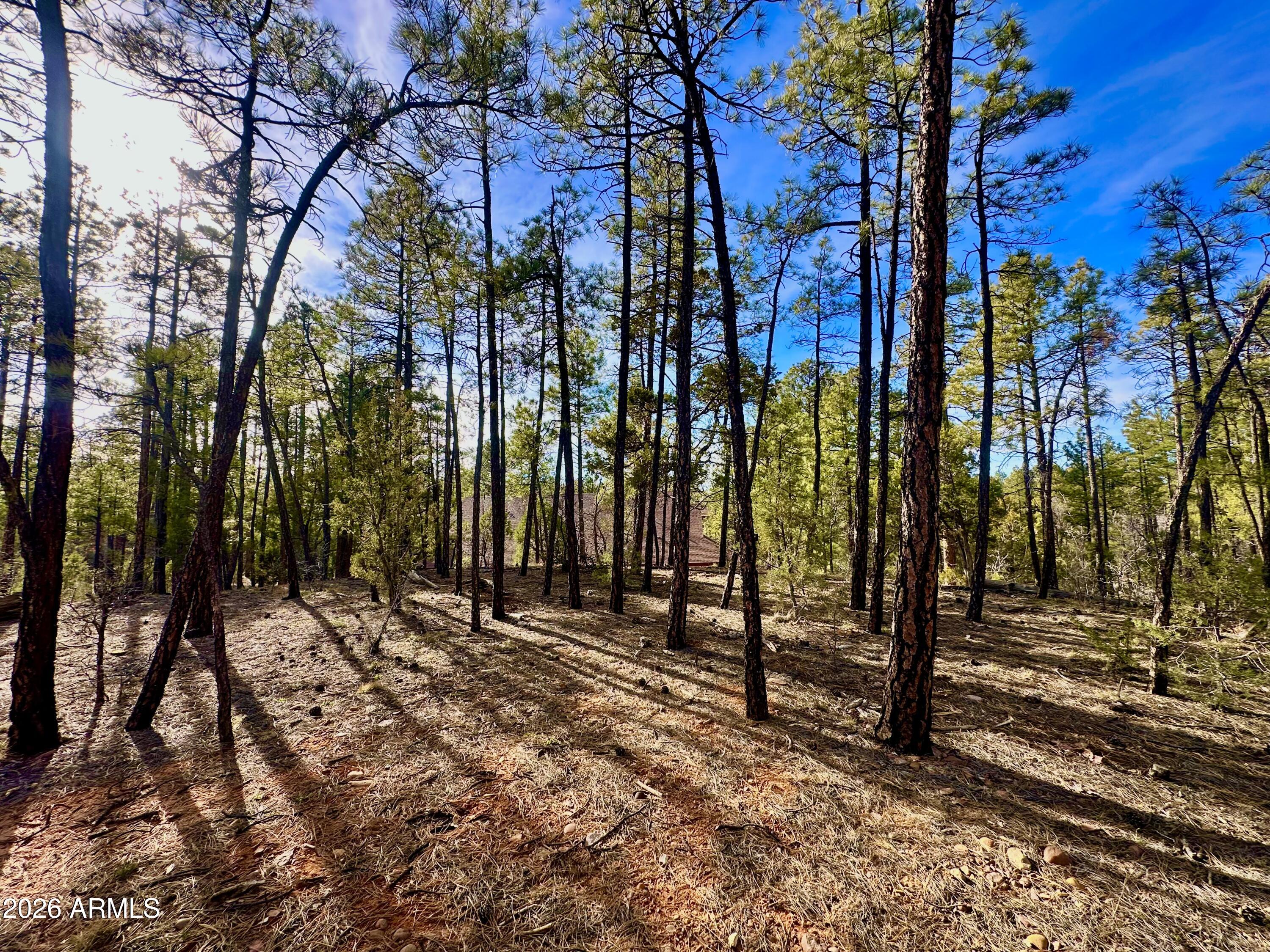 321 W ASPEN Trail 240