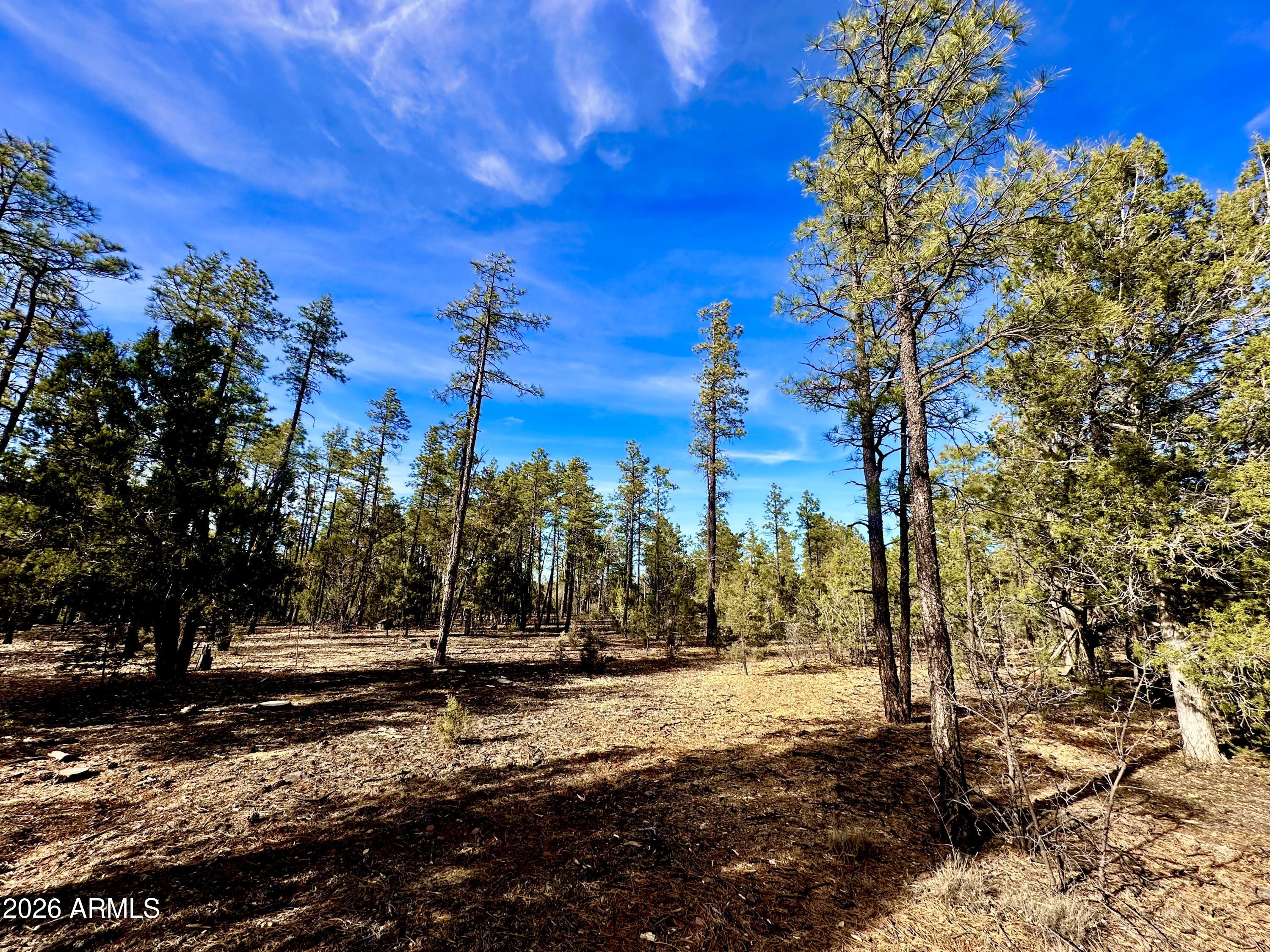 321 W ASPEN Trail 240