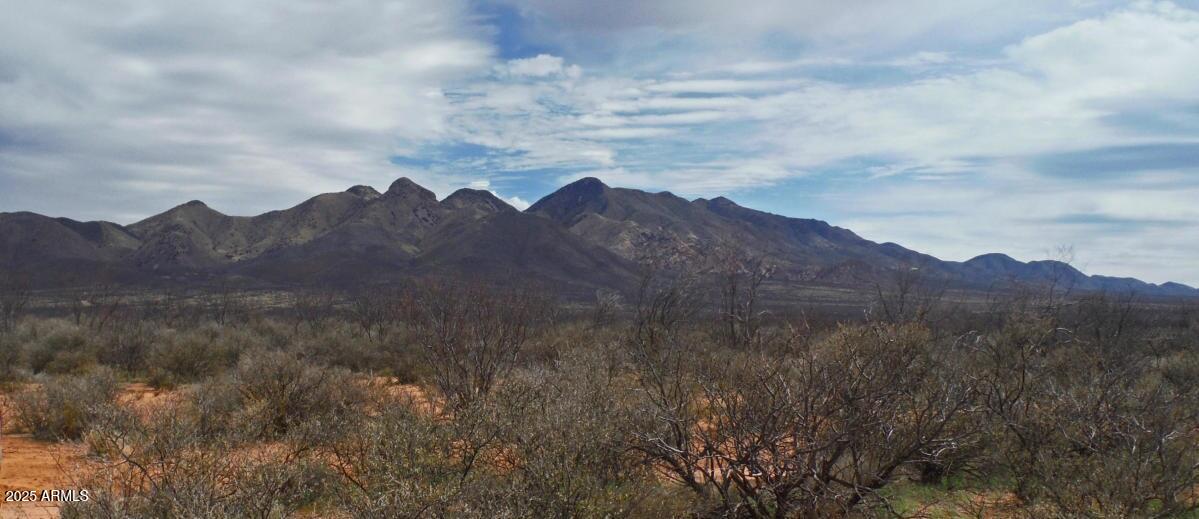 10683 N WIEGAND PRATT Road -