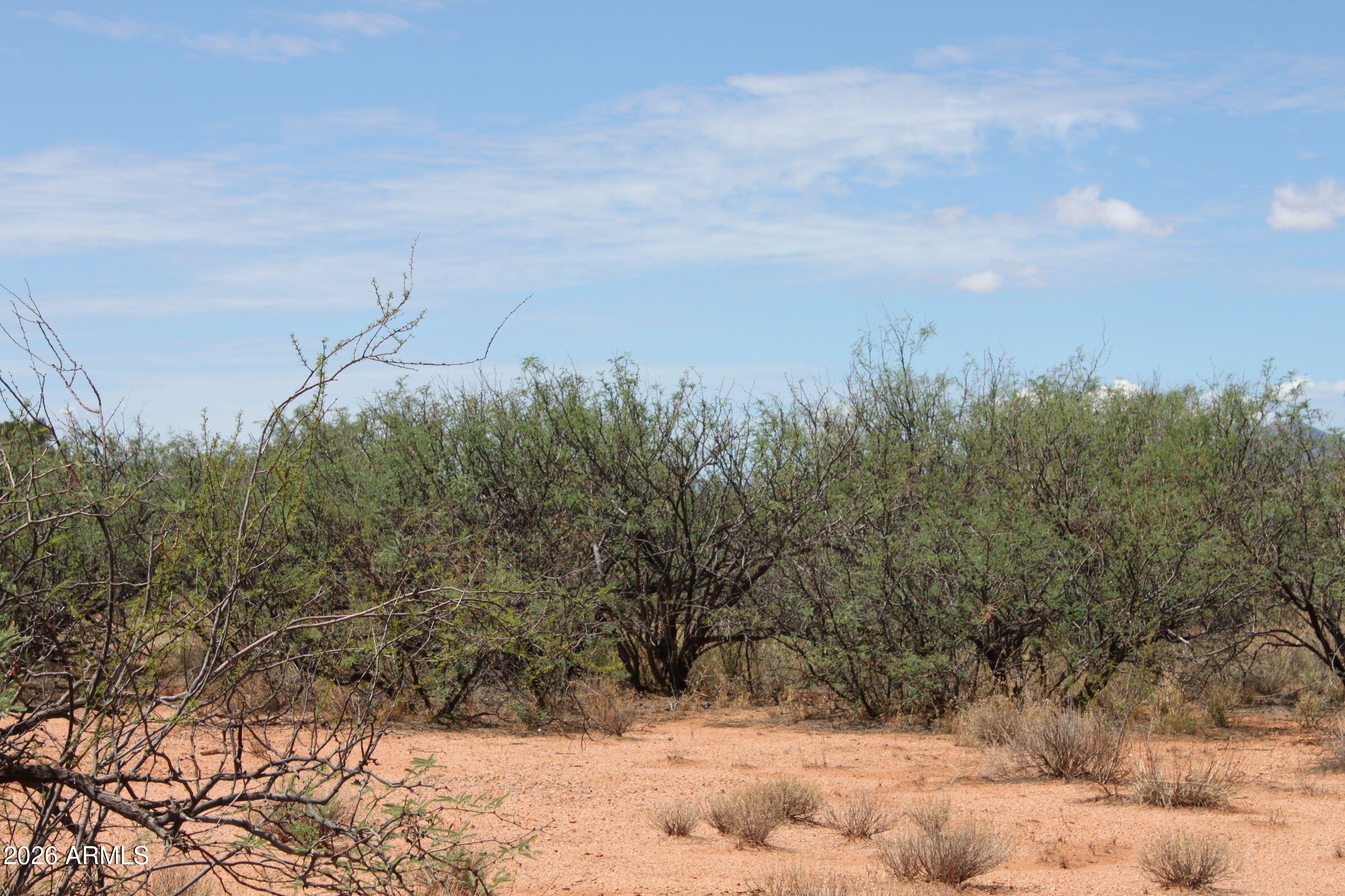 053H E Vista del Cielo Circle 12