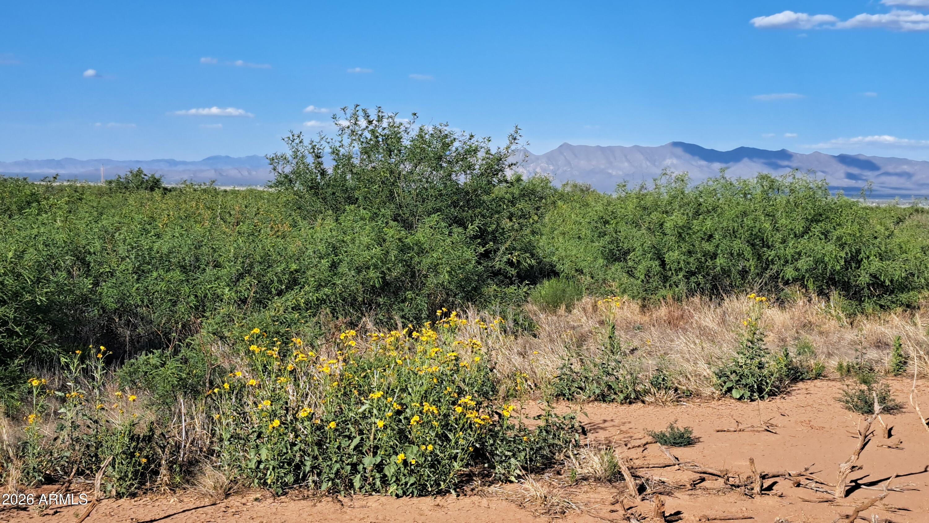 TBD W Westward Trail 8