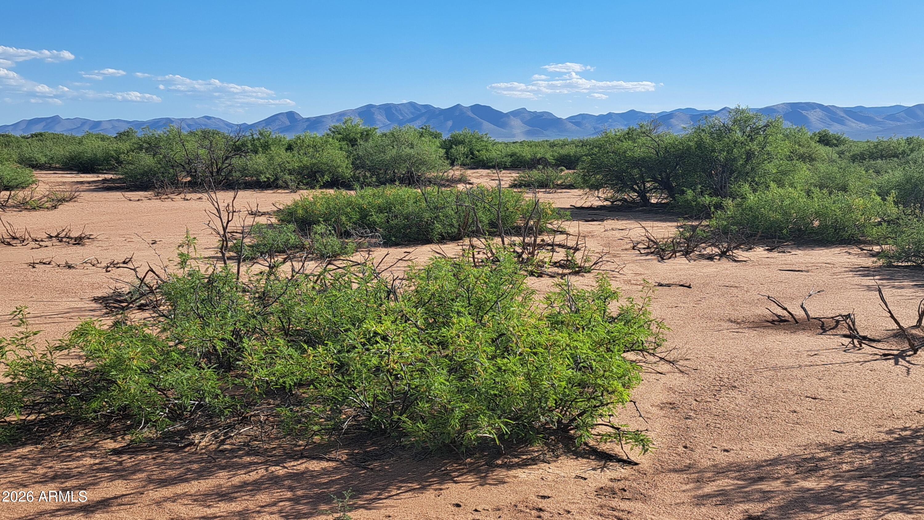 TBD W Westward Trail 8