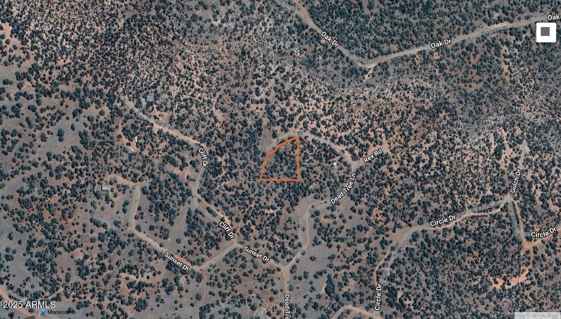 42XXX N Dead Tree Road 55