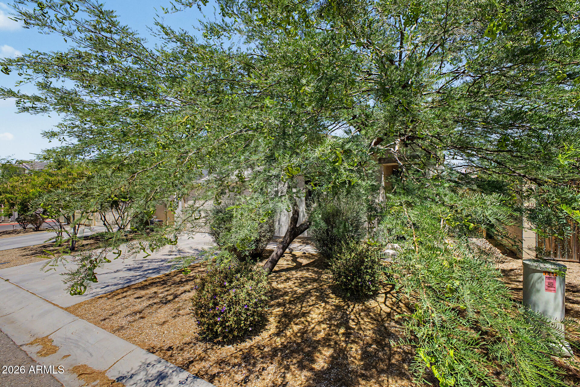 1882 W ROAD AGENT Street