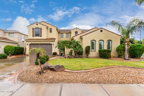 1341 E MACAW Court Gilbert AZ 85297