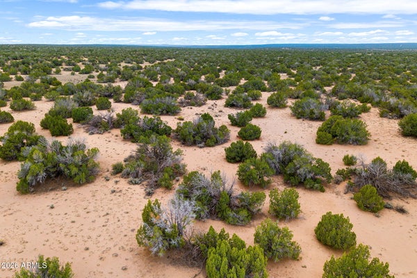 LOT 3 WITCH WELL RANCHES # 3, ST JOHNS, AZ 85936 - Image 47ed4bccc23850565e10b5c3bb5a73e0/332985286