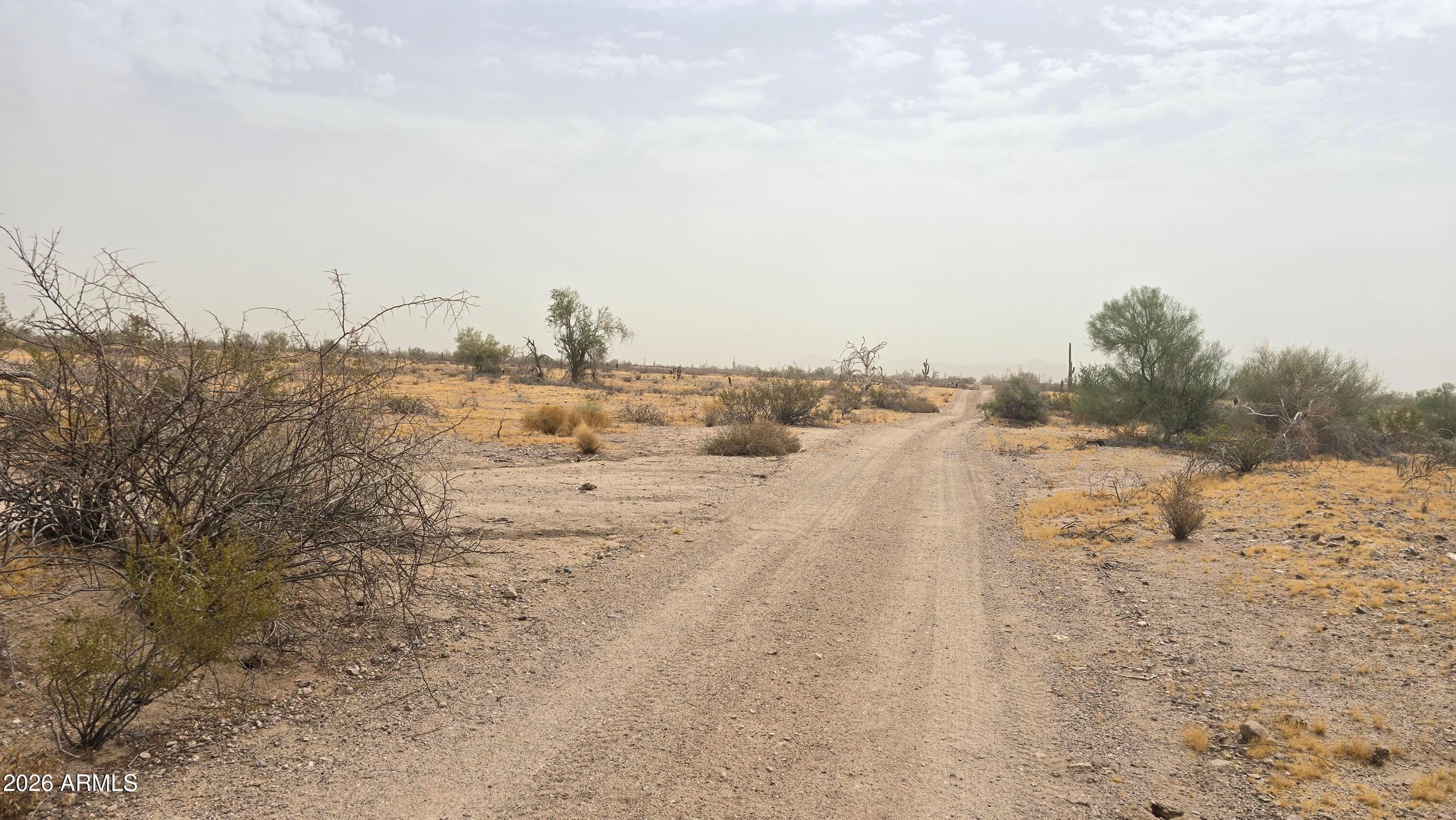 339XX W Restin Road -